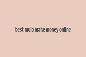 best mula make money online