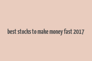 best stocks to make money fast 2017