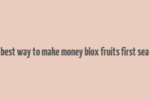 best way to make money blox fruits first sea