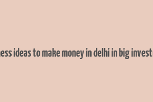 business ideas to make money in delhi in big investment