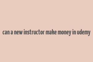 can a new instructor make money in udemy