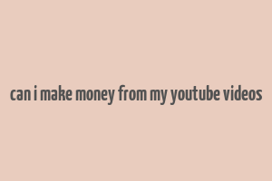 can i make money from my youtube videos