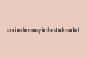 can i make money in the stock market