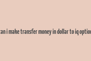 can i make transfer money in dollar to iq option