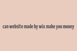 can website made by wix make you money