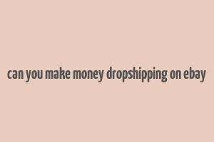 can you make money dropshipping on ebay