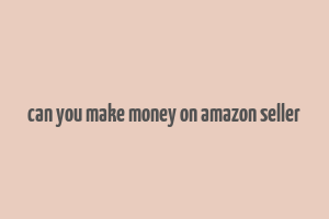 can you make money on amazon seller