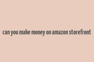 can you make money on amazon storefront