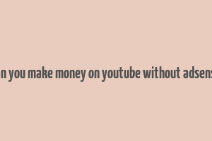 can you make money on youtube without adsense