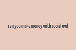 can you make money with social owl