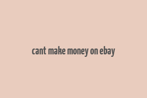 cant make money on ebay