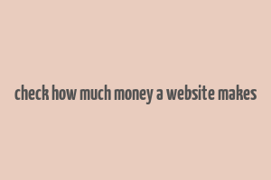 check how much money a website makes