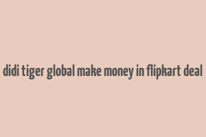 didi tiger global make money in flipkart deal