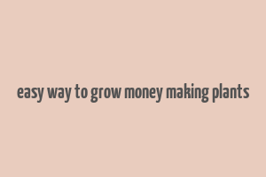 easy way to grow money making plants