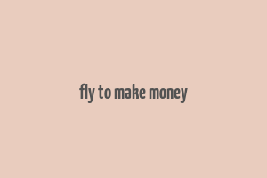 fly to make money