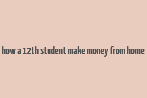 how a 12th student make money from home