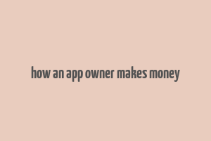 how an app owner makes money