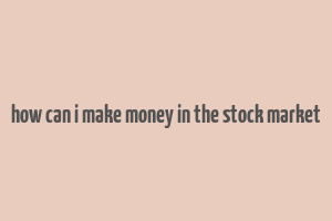 how can i make money in the stock market