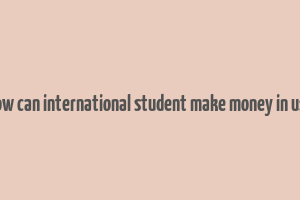 how can international student make money in usa