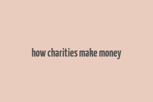 how charities make money