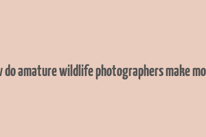 how do amature wildlife photographers make money