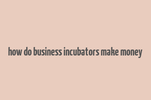 how do business incubators make money