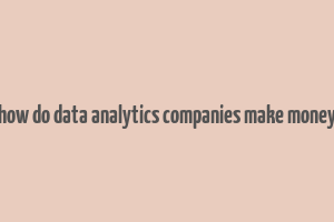 how do data analytics companies make money