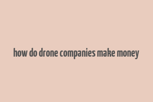 how do drone companies make money