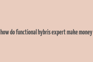 how do functional hybris expert make money