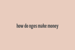 how do ngos make money