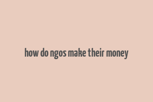 how do ngos make their money