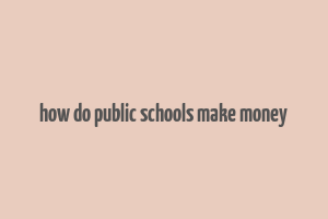 how do public schools make money