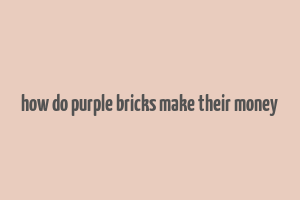 how do purple bricks make their money