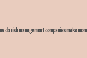 how do risk management companies make money