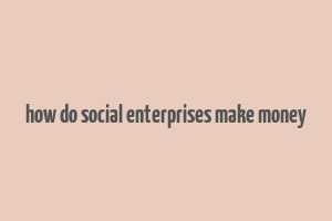 how do social enterprises make money