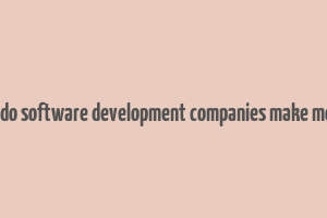 how do software development companies make money