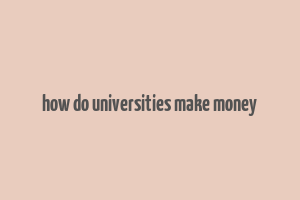 how do universities make money