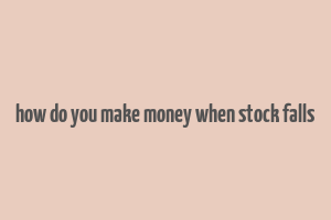 how do you make money when stock falls