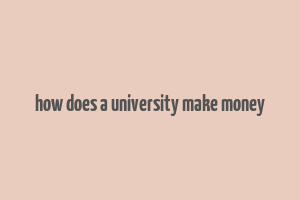 how does a university make money