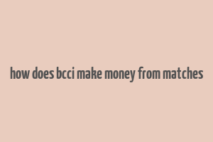 how does bcci make money from matches