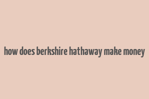 how does berkshire hathaway make money