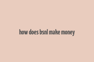 how does bsnl make money