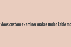 how does custom examiner makes under table money