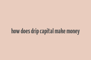 how does drip capital make money