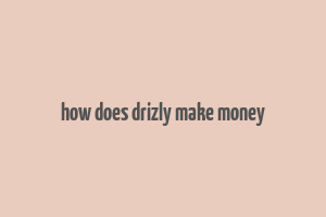 how does drizly make money