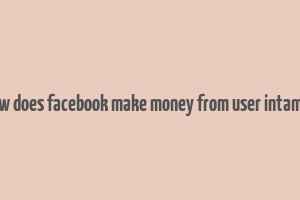 how does facebook make money from user intamils