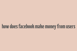 how does facebook make money from users