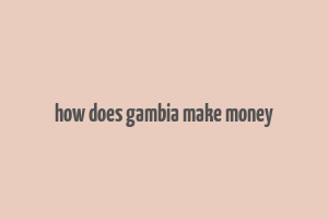 how does gambia make money