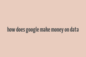 how does google make money on data