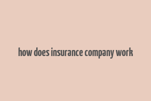 how does insurance company work